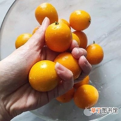 金桔蜜饯的做法 蜜饯的做法