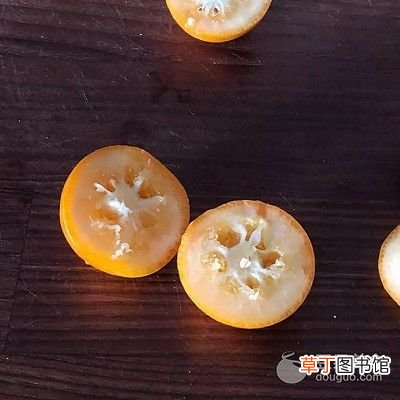 金桔蜜饯的做法 蜜饯的做法