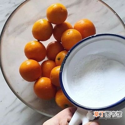 金桔蜜饯的做法 蜜饯的做法
