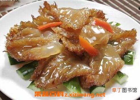 海蜇头的功效与作用 吃海蜇头的好处