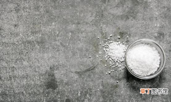 小小的盐竟然有美容作用 清洁毛孔平衡油脂分泌
