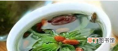 车前草怎么吃最好