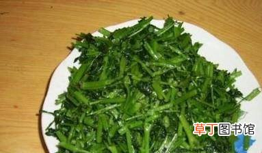 车前草怎么吃最好