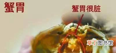 大闸蟹哪些部位不能吃？大闸蟹禁忌