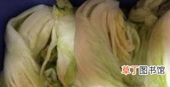 韩式白菜泡菜做法