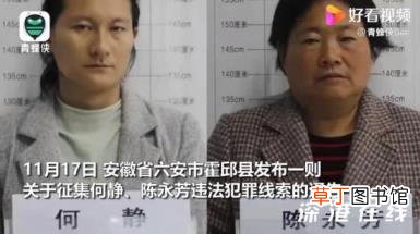 安徽一女网红竟为”村霸” 到底是怎么回事？