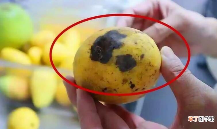 芒果发黑了还能吃吗