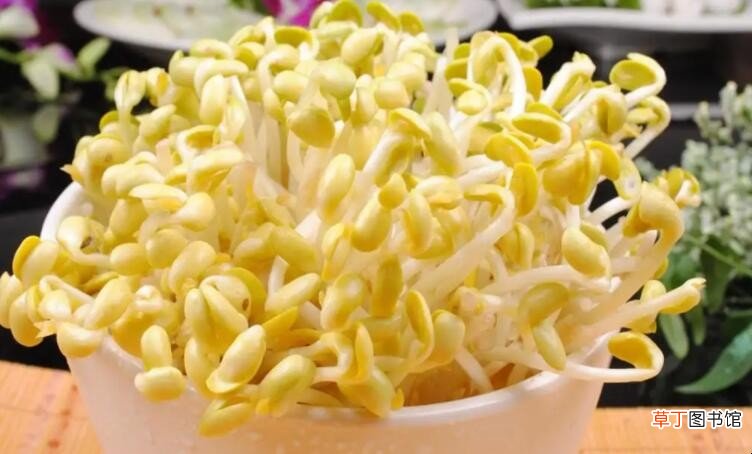 黄豆芽发绿能吃吗