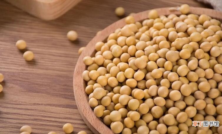 黄豆是大豆吗