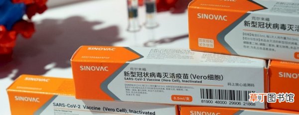 科兴疫苗通过紧急使用认证 世卫将科兴疫苗列入紧急使用清单