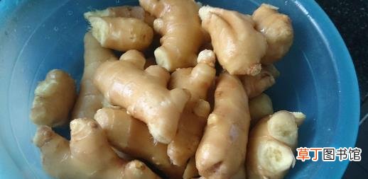 生姜放久了失去水分干巴巴的，这样保存，可以吃一年新鲜生姜
