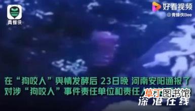 河南安阳:深刻反思狗咬人事件 具体是怎么回事?