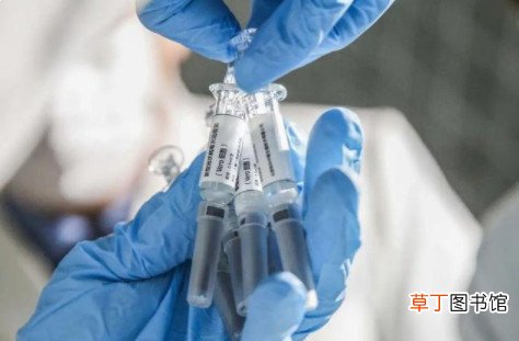 北京科兴和安徽智飞哪个副作用小 新冠疫苗安徽智飞和北京科兴哪个好