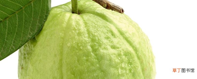 番石榴好吃吗
