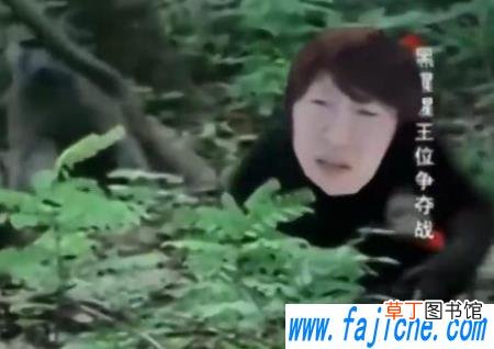 热梗奥利安费出自哪 奥利安费啥梗什么意思