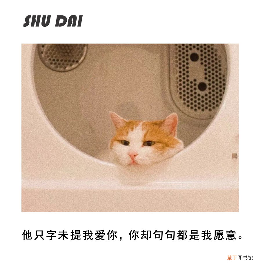 婚姻真谛和本质是什么 婚姻的本质是什么?