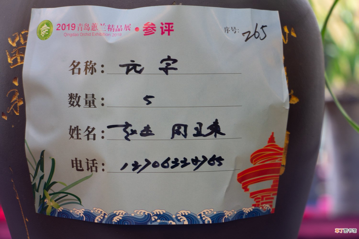 兰花什么季节施肥最好