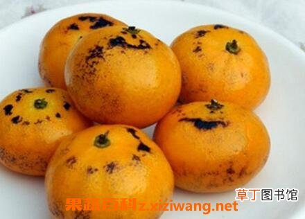 小孩咳嗽吃什么好的快 哪些食物能治疗小孩咳嗽