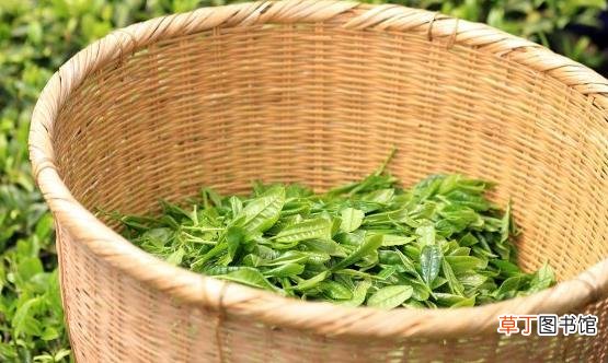 经常吃这十二款食物 能有助缓解头痛