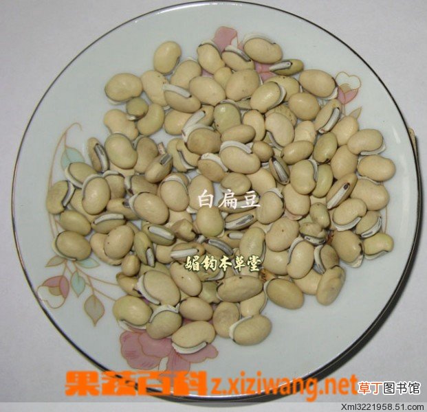 白扁豆粥