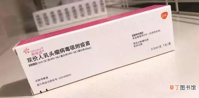 九价要做什么常规检查 九价疫苗会检查下体吗