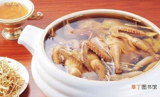 一鸽胜九鸡 鸽子汤的做法及功效