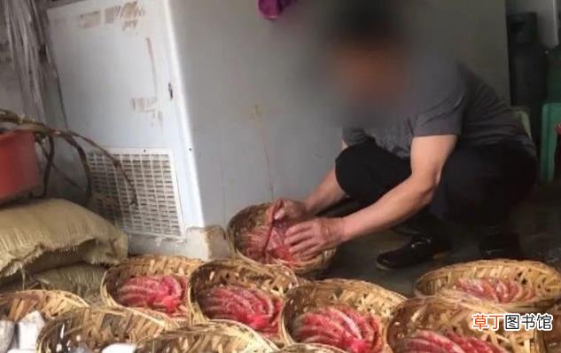 无良商贩用人工合成色素胭脂红给三苏红鱼上色，用手摸手会被染红
