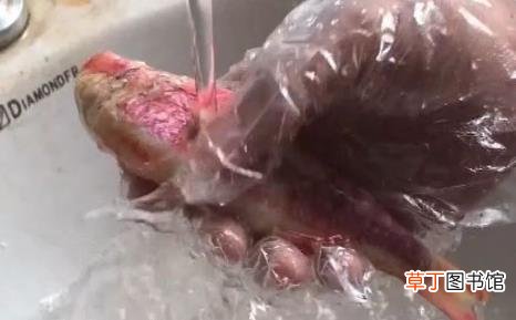 无良商贩用人工合成色素胭脂红给三苏红鱼上色，用手摸手会被染红