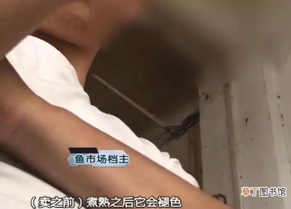 无良商贩用人工合成色素胭脂红给三苏红鱼上色，用手摸手会被染红