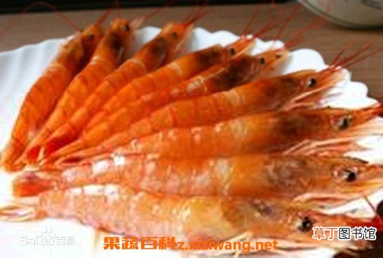 阿根廷红虾的营养价值及功效