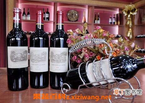 拉菲红酒的品种 拉菲红酒的功效