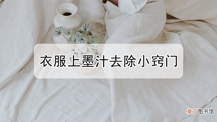 衣服上染了墨水怎样洗净