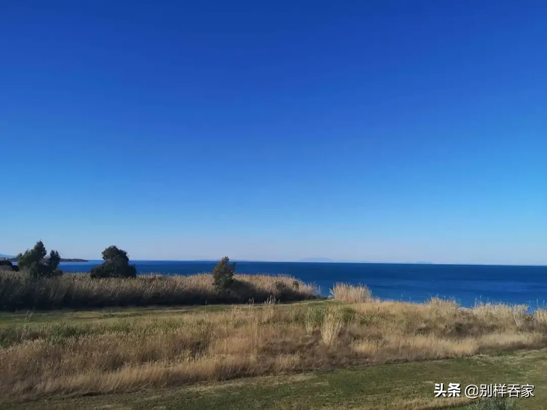 狂欢节的由来及象征意义  狂欢节的由来