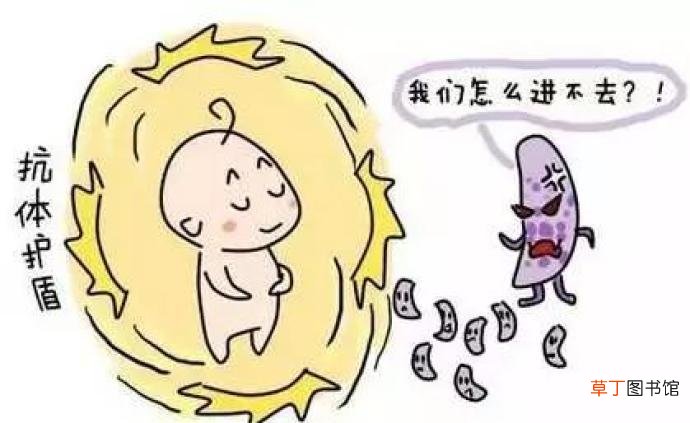 怎么增强免疫力-增强免疫力的方法