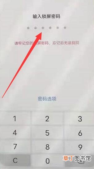 vivo手机怎样设置锁屏密码