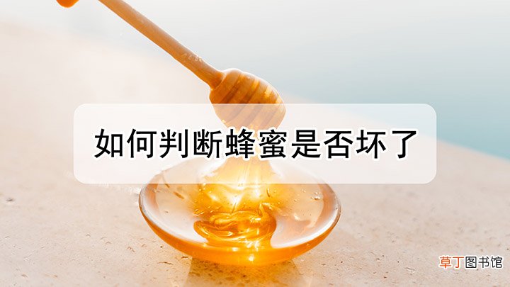 怎么才能够判断蜂蜜是否坏了