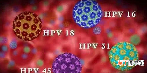 hpv是什么病-hpv是什么相关内容介绍