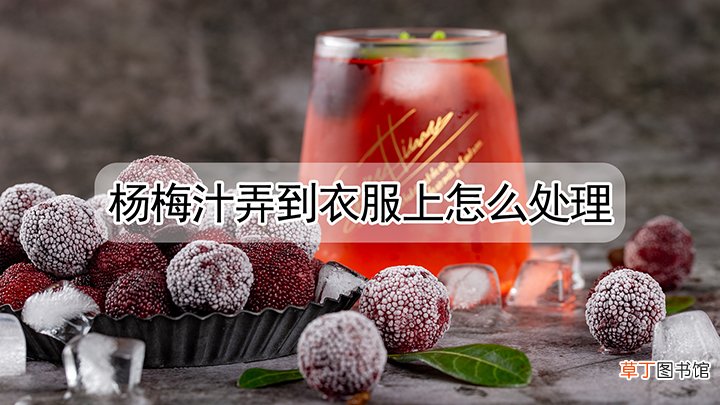 杨梅汁弄到衣服上怎么才能够处理