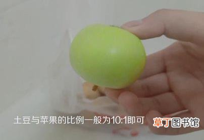 土豆发芽了还能吃吗？刚发芽的土豆可以吃吗