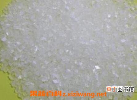 糖精不能和什么一起吃 糖精和什么相克