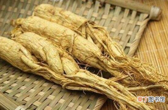 人参怎样吃对人体好