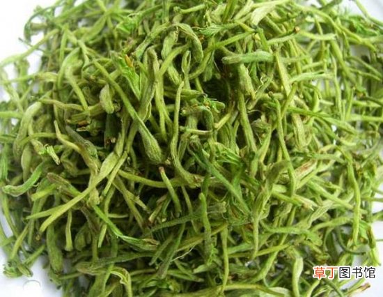 金银花茶的功效与作用