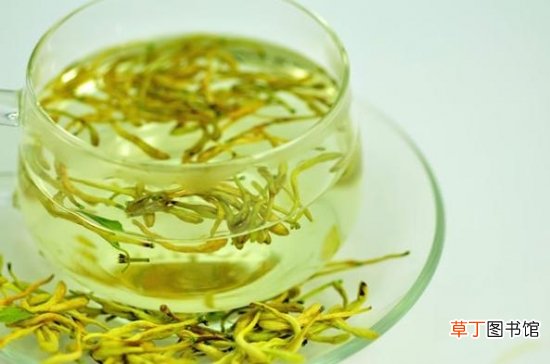 金银花茶的功效与作用