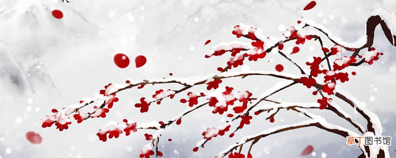 十年磨一剑砺的梅花香的含义 十年磨一剑砺的梅花香什么意思