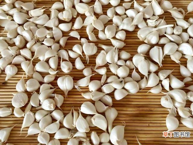 应该如何做糖醋蒜呢 正宗糖醋蒜的操作步骤