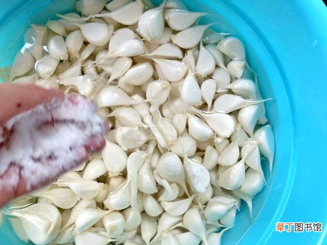 应该如何做糖醋蒜呢 正宗糖醋蒜的操作步骤