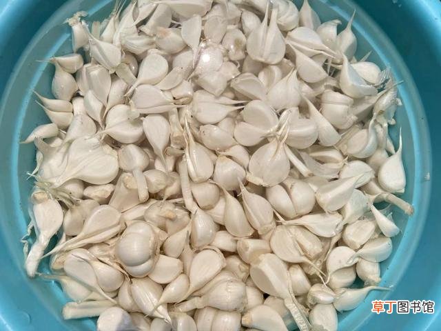 应该如何做糖醋蒜呢 正宗糖醋蒜的操作步骤