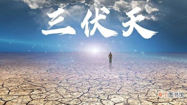 啥时候入伏出伏为啥有40天呢 2022年三伏天时间表