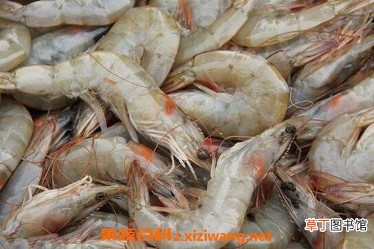 海虾的营养价值与功效