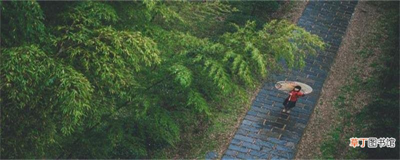 雨水时节诗词 雨水时节诗词是什么